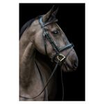 New Cameo Eco Rider Ecosoft Luxe Bridle Anatomical Brown Cob RRP £110