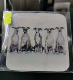 Mug & Coaster Set Of Five Brindle Coloured Whippets On A White Background