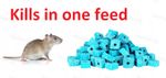 Rat Poison Feed Rat & Mouse Bait Blocks Effective Fast Killer One Feed