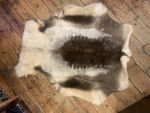 Reindeer Hide Rug Premium Large Hand-Finished