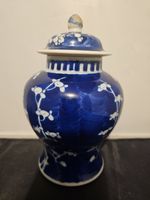 Prunus Jar, Qing Chinese Blue & White Prunus Ginger Jar with Lid 6 1/2 Inch