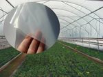 Clear PE Film Poly Tunnel Greenhouse Heavy Duty Garden Polythene Cover Foil UV5