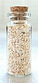 Star Sand Okinawa Ishigaki Island Star Sand 10ml Glass Bottle JAPAN *US Seller