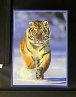 Studio Tiger Animals 1000 Piece Cardboard Jigsaw Puzzle sealed bag
