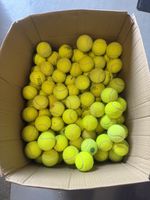 30 Used Tennis &Padel Balls for Dogs Bulk comp Branded Training Fetch ?Next Day
