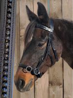 Bridle with & without teeth, visual highlight: glitter headband