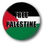 FREE PALESTINE - 25mm 1" Button Badge - Protest FLAG