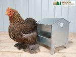 Bantam Polish Chicken Ducks Quails Bird Poultry Metal Feeder Trough with Roof
