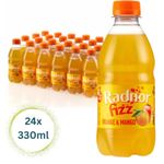Radnor Fizz Orange & Mango Sparkling Juice Drink 330ml x 24 Pack