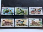 Birds From Philippines