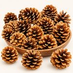 Natural Pine Cones Approx 60 Per kg Quality Pinecone's Florists Crafts Cone