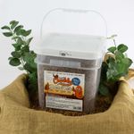 Premium Chubby Dried Mealworms Wild Bird Food Treats For Garden Birds 10L