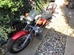 CHUNLAN 250 Spares Or Repairs Barn Find. Working