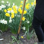 Eze Weeder Garden Tool – Long Reach Weed Puller