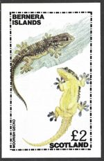Bernera Islands, Scotland, £2 Moorish Geckos, MNH Imperf M/S Sheet #M2067