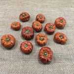 12 Mini Dried Pumpkins With Pre-drilled Holes. Autumn Wreath Attachments.