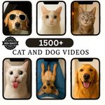 🐾 1500+ Cat & Dog Reels Bundle – HD Vertical Videos