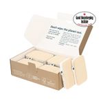 Seep Compostable Sponge with Loofah Scourer - pack of 12