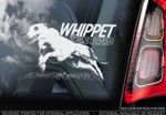 Whippet - Car Window Sticker - Dog on Board Sign -n.Italian Greyhound Snap- TYP2