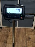 Avery Weigh-Tronix ZM110 Commercial Bench / Floor Scales | 300kg Capacity