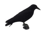 Flocked Crow Full Body Decoy Rook Raven Shooting Hunting with Feet & Stick Peg