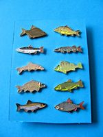 Set of 10, Different Fish pin badges, Enamel. Coarse Fishing interest. 