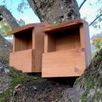 Wildlife Wooden Bird House Robin Garden Nest Box Feeding Roosting (Set of 2)