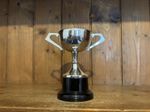 Not Engraved vintage silver plate trophy, loving cup, trophies, trophy