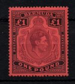 Bermuda 1938 £1 purple black & red P14 mint LHM SG121 WS45416