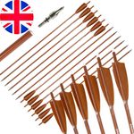 12X 30" Carbon Arrows Feathers Compound Recurve Bow SP500 Archery Hunting Target