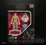 Star Wars The Black Series Jedi Training 2 Pack Luke Skywalker and Yoda 