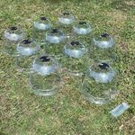 Plastic Plant Protection Bell Cloche Covers with Ground Pegs (Pack of 10) 20cm