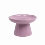 Raised Cat Bowl Bowls Odorless for Young Dogs