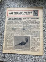 Extremely Rare The Racing Pigeon Vintage Magazine 11th November 1972 Great Gift 