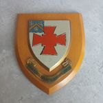VINTAGE HAND PAINTED UNIVERSITY OF DURHAM WALL PLAQUE/SHIELD