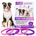 Dog Flea Tick Collar for Dogs Adjustable 24 Month Protection Pink/Purple 4 Pack