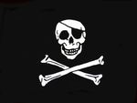 SKULL AND CROSSBONES FLAG 8 x 5 FT BLACK & WHITE PIRATE JOLLY ROGER KIDS PARTY