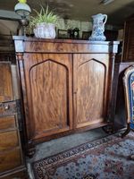 Glorious William IV Victorian Flame Mahogany Larder  Linen Toy  Drinks Cupboard