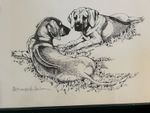 RhodesianRidgeback  Puppies Print 11x17 Limited Edition By Martha Van Loan sign