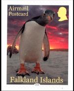 FALKLAND ISLANDS  2026, PENGUIN POSTCARD STAMP, SINGLE S/A, MNH