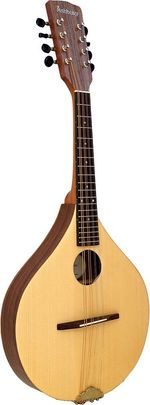 Ashbury Rathlin Walnut MANDOLIN, handmade, solid spruce top. At Hobgoblin Music