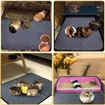 Washable Guinea Pig Cage Liner Reusable Non Slip Pet Bed Pad Small Animal Mat