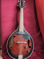 Wesley Mandolin M-S-RUS used Electro-Acoustic 