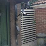 “Pair of Large Heavy Duty Wrought Iron Porch Gallows Brackets (700mm x 400mm)