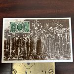 lovely KgV jersey postal history local postcard jersey cabbages c 1935 vintage