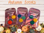 Scented Vacuum Freshener Discs x  3 | Odour Neutraliser | Hoover Discs 🎃