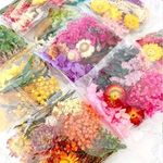 Real Dried Flower For DIY Art Craft Epoxy Resin Pendant Jewellery Making