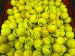 50 Used Branded Tennis Balls. Top Quality Balls. Wilson, Dunlop, Slazenger Etc