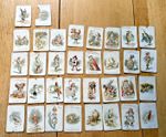 Vintage Carreras Alice in Wonderland Cigarette Cards 1930s - Part Set 34 of 48