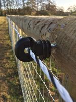 ELECTRIC FENCE RING INSULATORS Fencing Screw In For Wooden Posts Wire 25 50 100